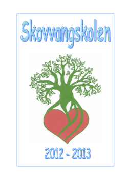 Læs Solstrålen 2 - 2013 (pdf - nyt vindue)