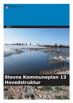 Planstrategi 2011 for Trekantområdet