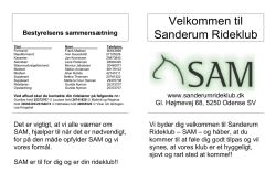 bakkemoertel_sikkerhedsblad_SN_09-12.pdf