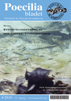 Køresporten nr. 4 2010.pdf