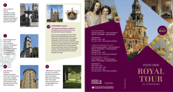 Handleplan til Embedslægernes tilsynsrapport 2013 pdf
