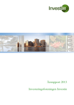 FIH årsrapport 2013.pdf