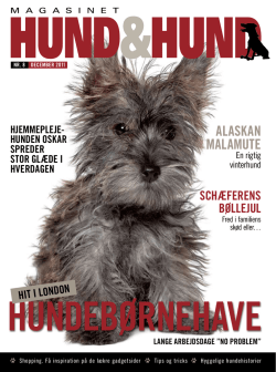 Læs aktivitetsrapporten her