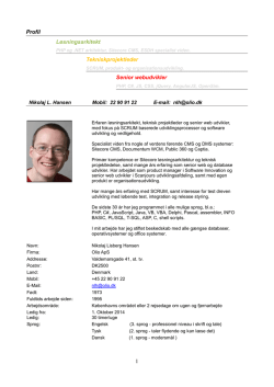 Professional Profile (CV) - IT Enterprise & Solution Architect