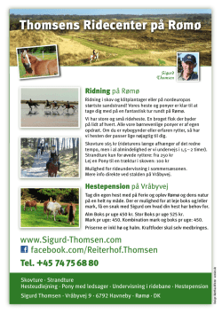 Træning af din hest/pony og forebyggelse af skader v/dyrlæge