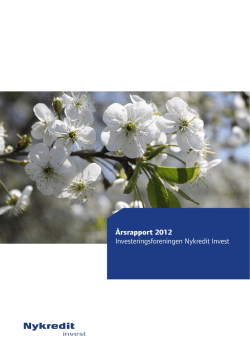 &Aring;rsrapport for 2010
