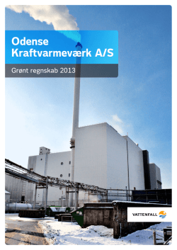 ØSTKRAFT Holding A/S Årsrapport for 2013 43. regnskabsår