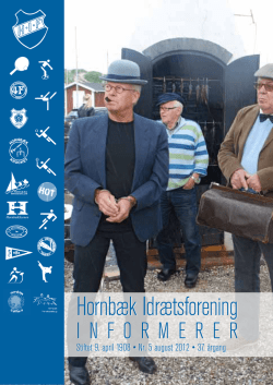 lina jakobsen dorning e-portfolio &ndash; www.linadorning.dk marts 2012