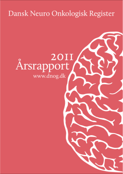 RISIKORAPPORT 2012