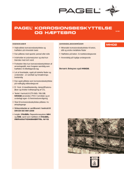 Raptor_gipspladeskruer-paa-trae_DK.pdf 184KB - raptor