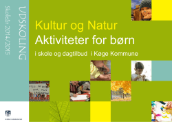 sKoler - Kulturskolerne