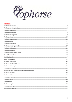 Demens essens instruks – Kopi