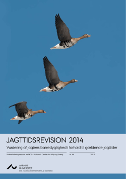 Jagttid på dåhjort - DJ- marts 2013.pdf