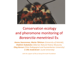 Oleg Korsun - Conservation ecology of Borearctia menetriesii