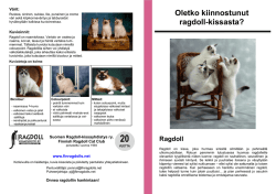 tästä - Suomen Ragdoll Kissayhdistys ry / Finnish Ragdoll Cat Club