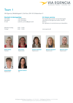 Team 1 - VIA Travel