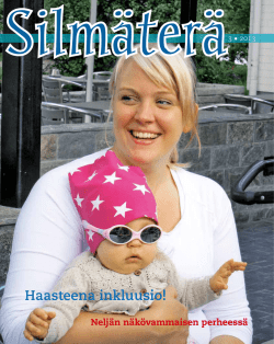 Silmaterä-lehti 3/2013 - Näkövammaiset lapset ry