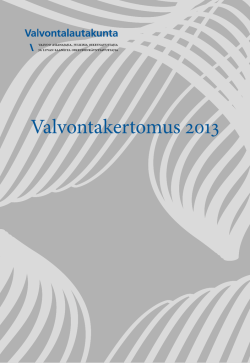 Valvontakertomus 2013 (pdf)