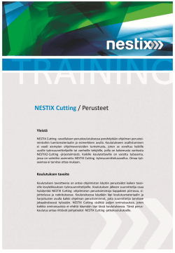 NESTIX Cutting -perusteet (1 pv)