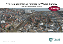 Forslag Nye retningslinjer og rammer for Viborg