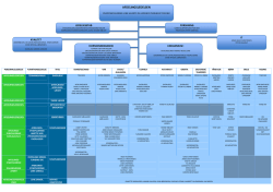 Afdelingens organisationsdiagram