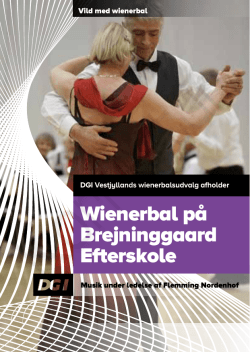 Wienerbal på Brejninggaard Efterskole