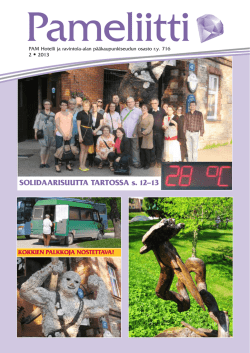 Pameliitti 2_2013.pdf