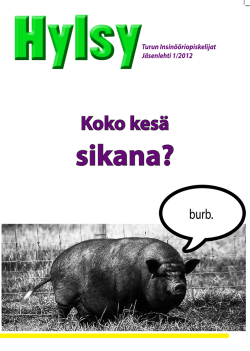 Hylsy 1/2012 - Turun Insinööriopiskelijat TIO ry