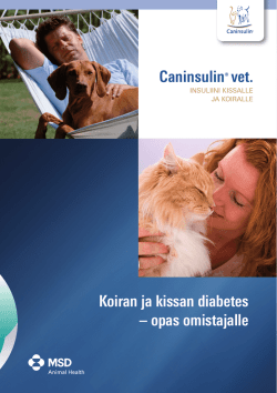 Koiran ja kissan diabetes-opas omistajalle