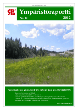 Ympäristöraportti No: 12 2012 Rakennusbetoni