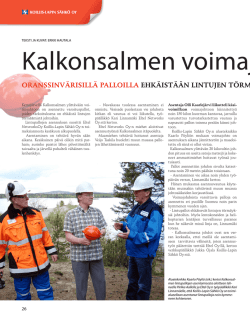 Asiakaspolar-lehti 2010/3 - Koillis