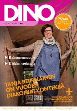 Dino 3 2013 - Kirkon Nuorisotyöntekijöiden Liitto ry