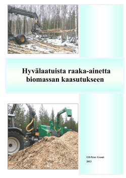 Hyvälaatuista raaka-ainetta biomassan kaasutukseen Alkusanat