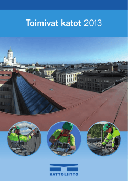 Toimivat katot 2013 (pdf)