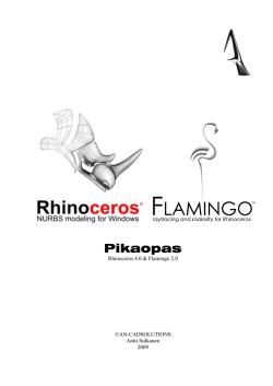 Rhinoceros 4.0 & Flamingo 2.0 pikaopas - AN