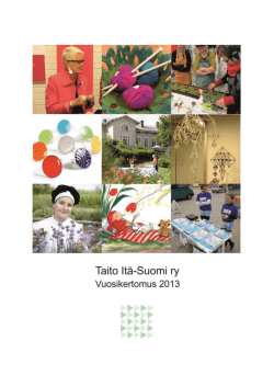 Taito Itä-Suomi ry:n vuosikertomus 2013