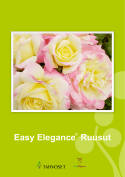 Easy Elegance Ruusut
