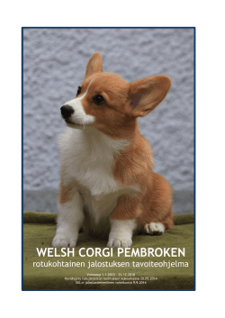 Welsh corgi pembroken rotukohtainen jalostuksen tavoiteohjelma