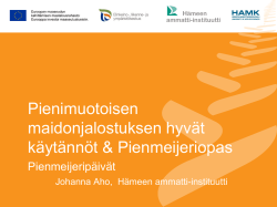Johanna Aho hyvät käytännöt ja pienmeijerioppaan esittely.pdf