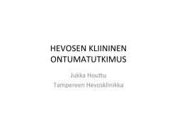 Esitys 1 - Tampereen Hevosklinikka