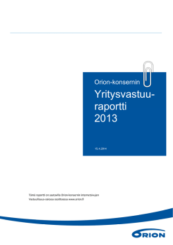 Yritysvastuu- raportti 2013
