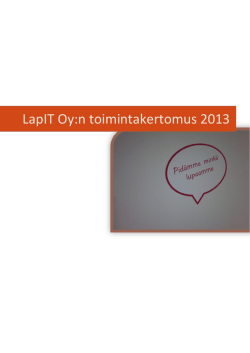 LapIT Oy:n toimintakertomus 2013