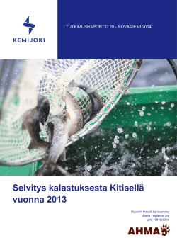 Selvitys kalastuksesta Kitisellä vuonna 2013