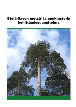 Metsa- ja puuklusterin kehittamissuunnitelma 20.3.2013.pdf
