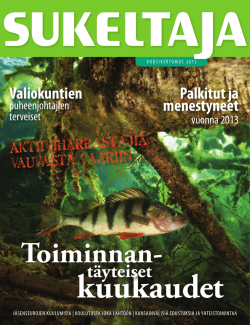 Vuosikertomus 2013 - Sukeltajaliitto ry