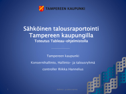 Tampereen kaupunki asiakascase (Riikka Hannelius)