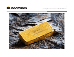 Invest, Endomines Oy ja Pampalon kultakaivos (pdf)