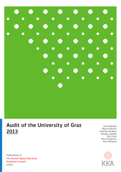 Audit of the University of Graz 2013