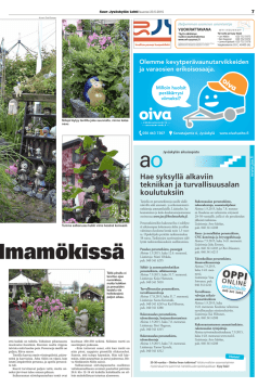 7 - Surkkari.fi