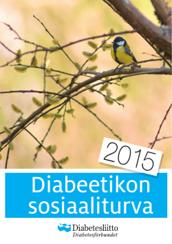 Diabeetikon sosiaaliturva 2015